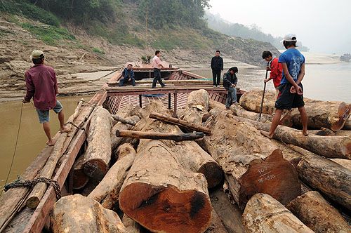 113187-01016 湄公河流域砍伐森林-老挝北部湄公河畔
